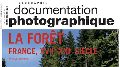 Vincent Moriniaux publie un n° de la Doc Photo sur les forêts