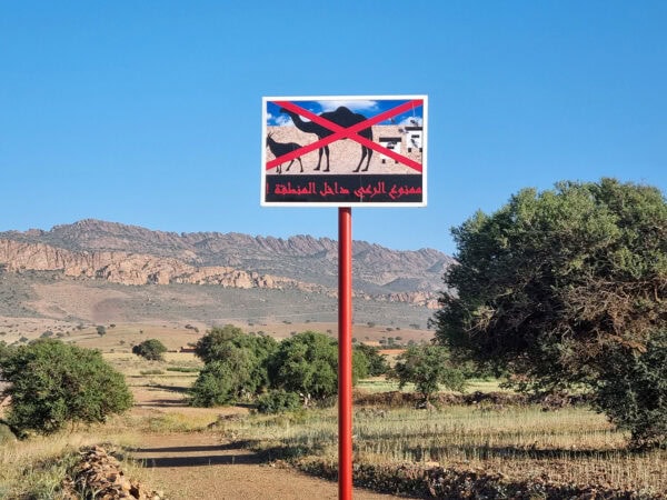 Arganeraie et interdiction du pastoralisme 