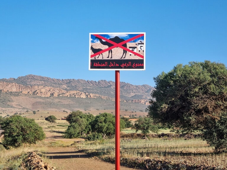 Lire la suite à propos de l’article Publication d&rsquo;un article scientifiques sur l&rsquo;arganiculture collective au Maroc par David Goeury